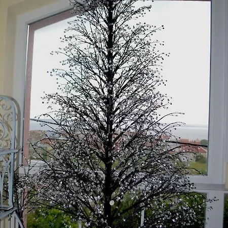 Mit Meerblick Romy * Preko