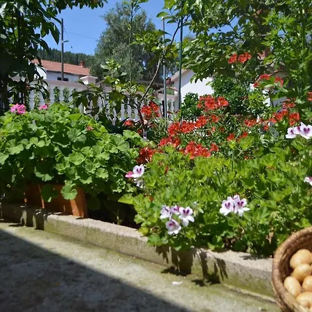 Mit Meerblick Romy