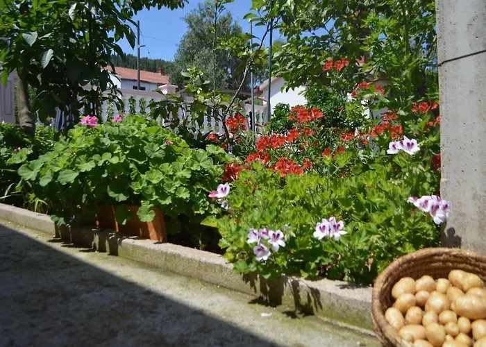Mit Meerblick Romy
